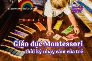 Giáo dục Montessori thời kỳ nhạy cảm của trẻ