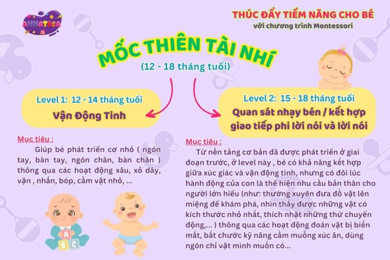 Combo học Montessori cho bé 12-18 tháng - Mốc Thiên Tài Nhí
